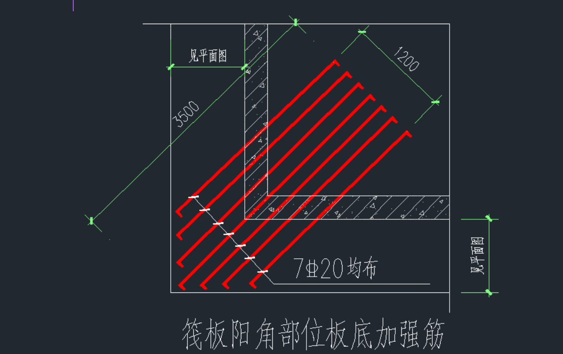 放射筋