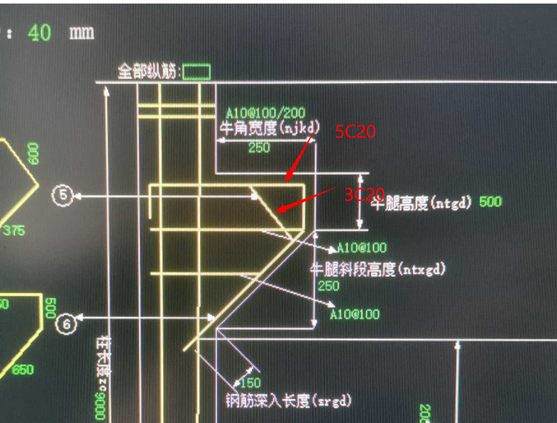 牛腿梁钢筋正确放图图片