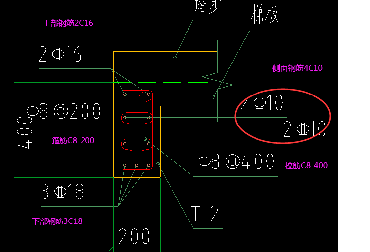 梯梯