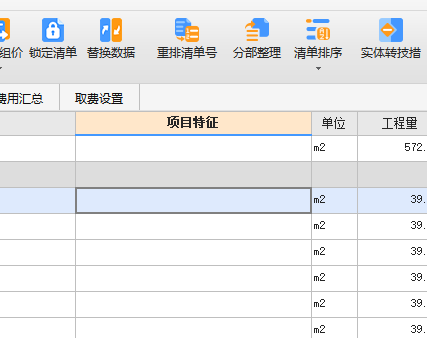 项目特征