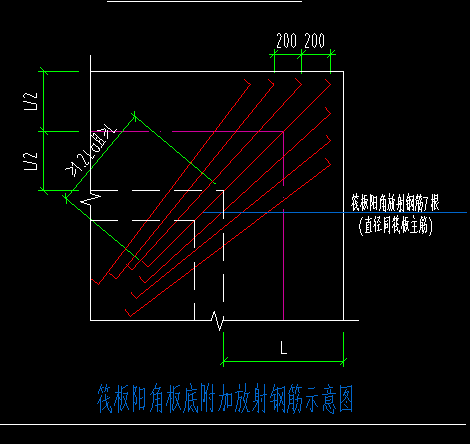 的放射筋