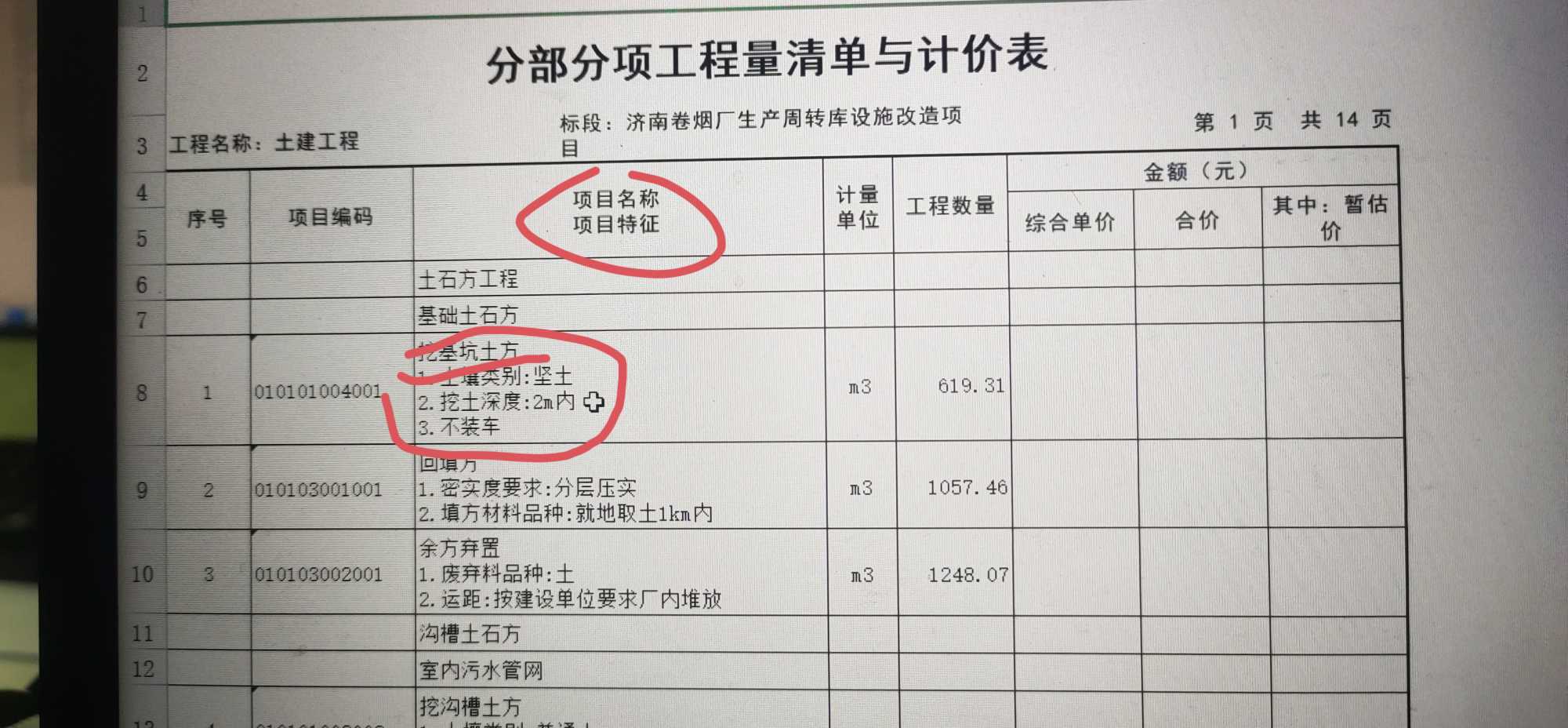 项目特征