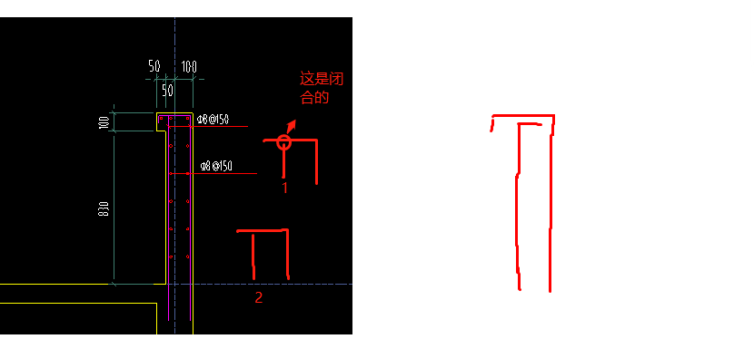 分布筋