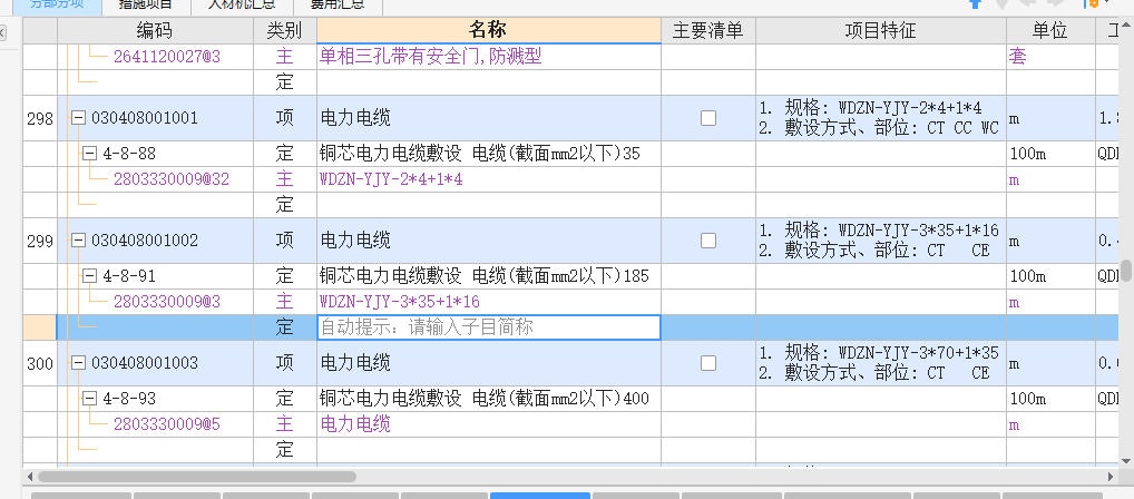 项目特征