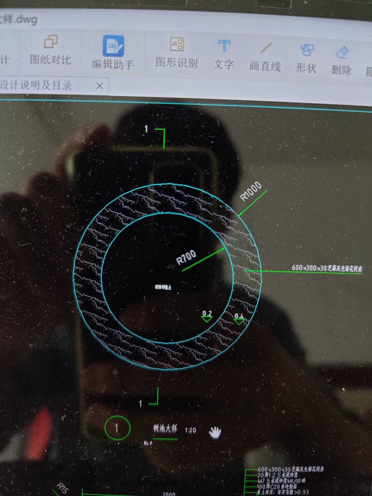 树池