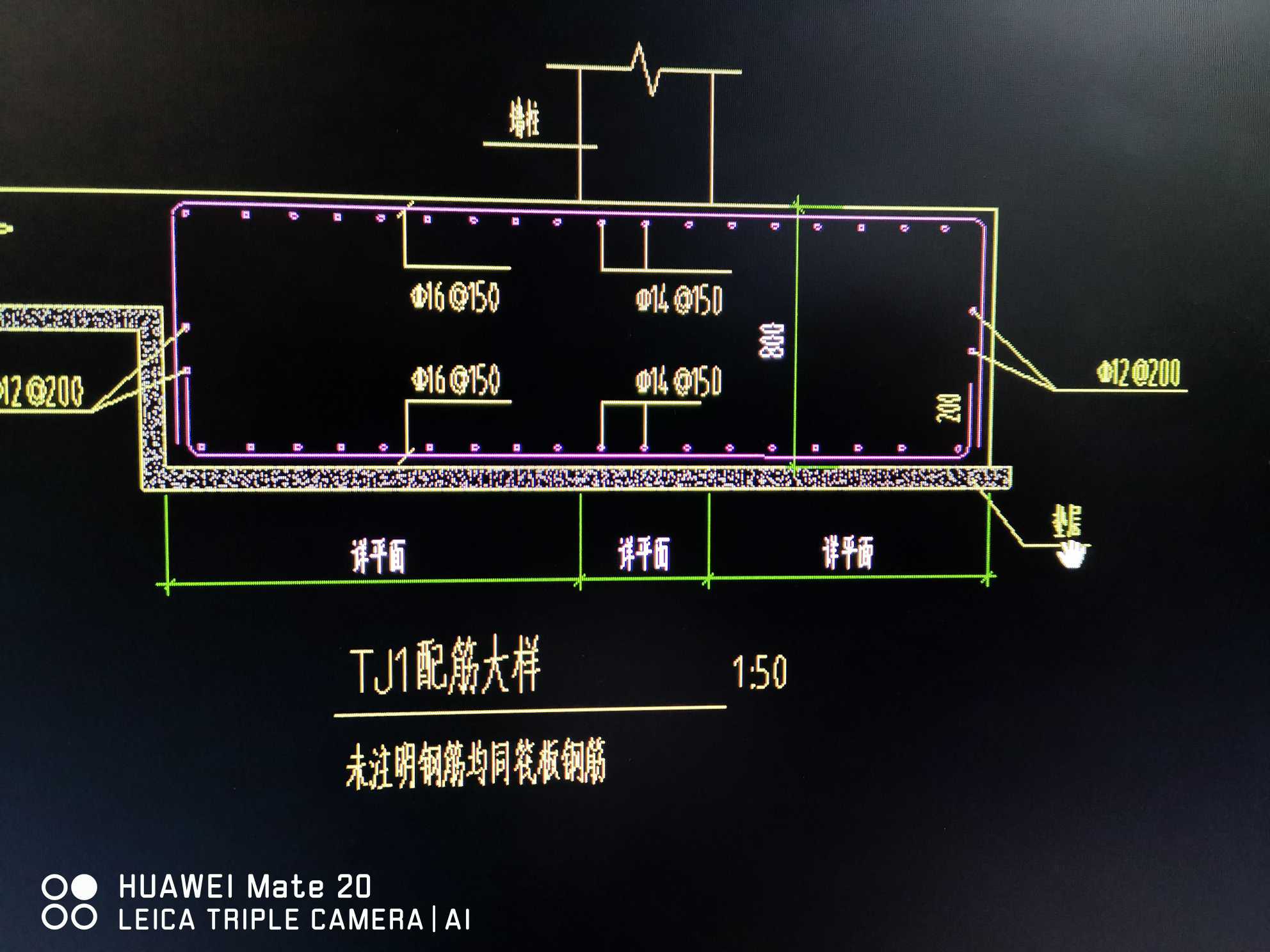 条基