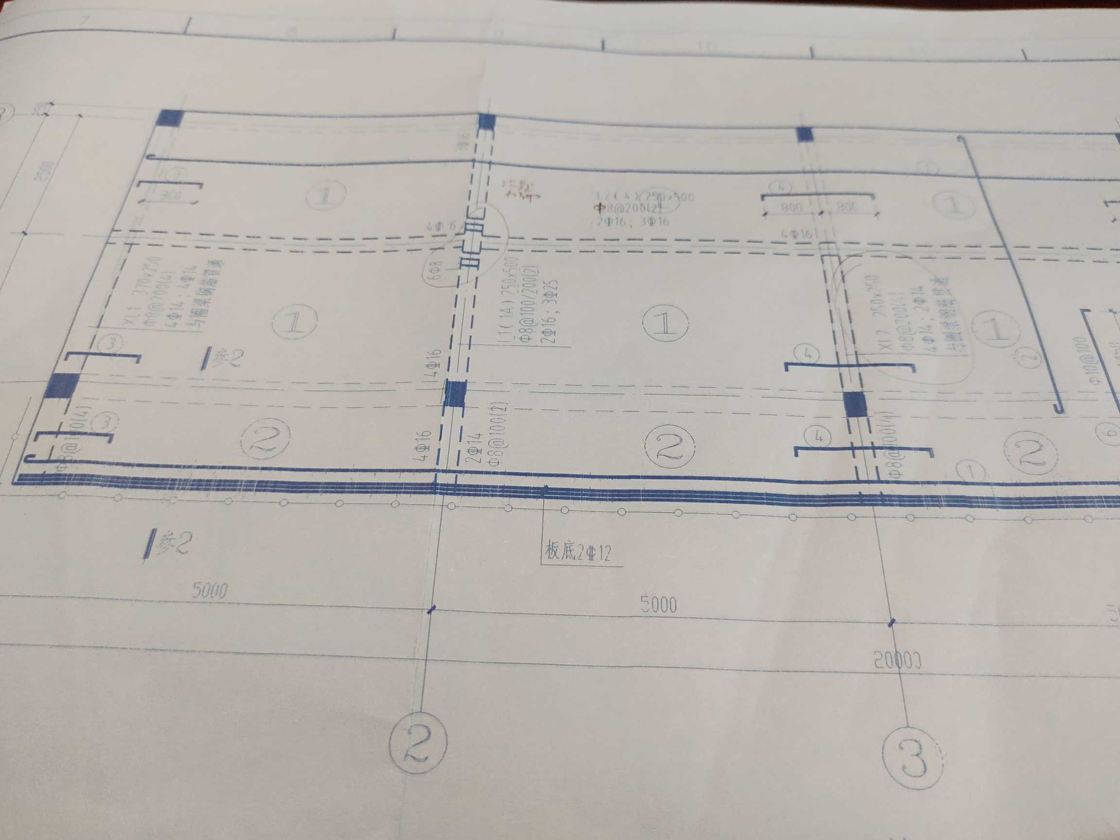 受力筋