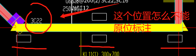 原位标注