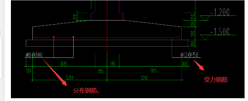 分布筋