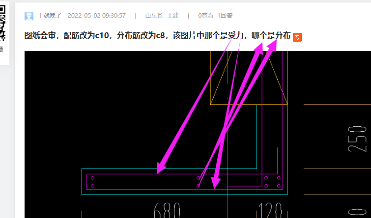 分布筋