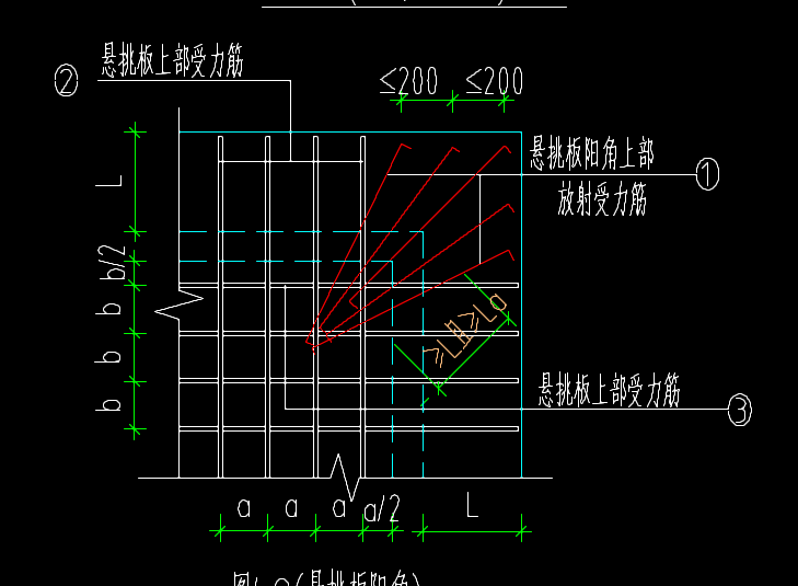 放射筋