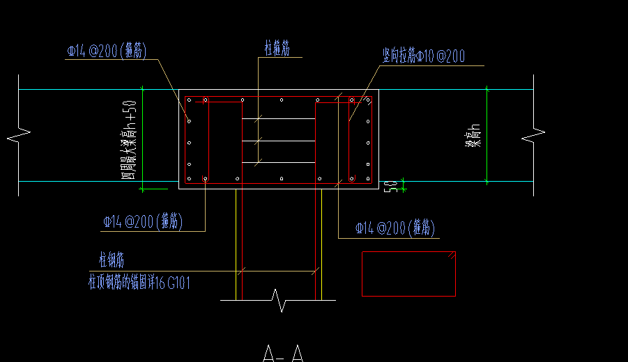 钢筋布置