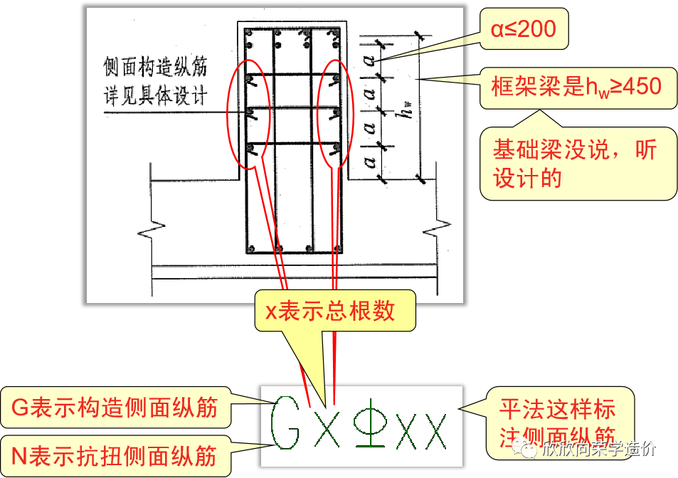 梁钢筋纵剖面图图片