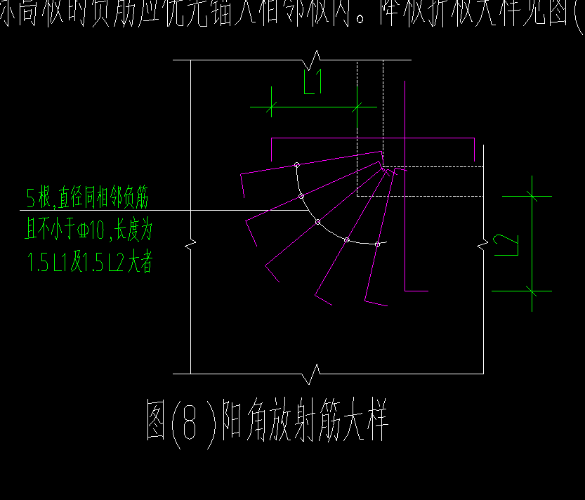 放射筋