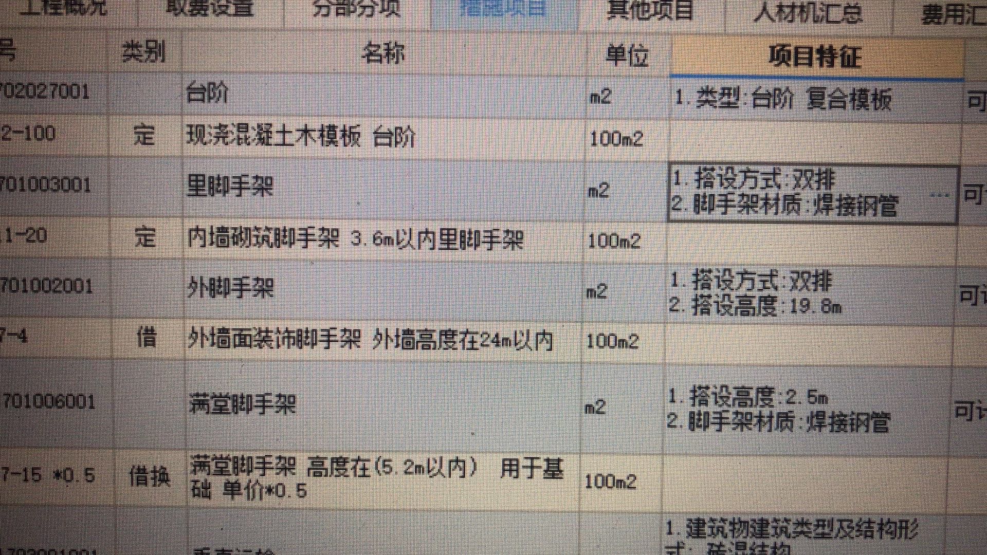 项目特征