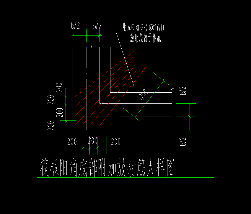 放射筋