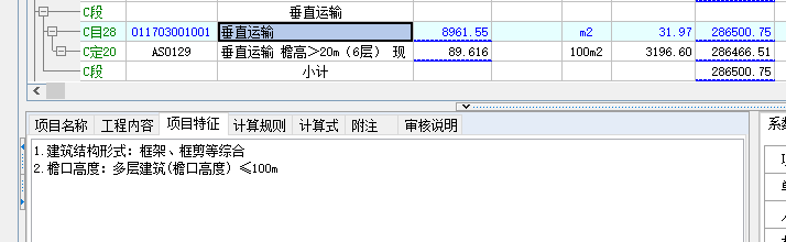 项目特征