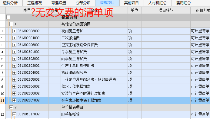 项目编码