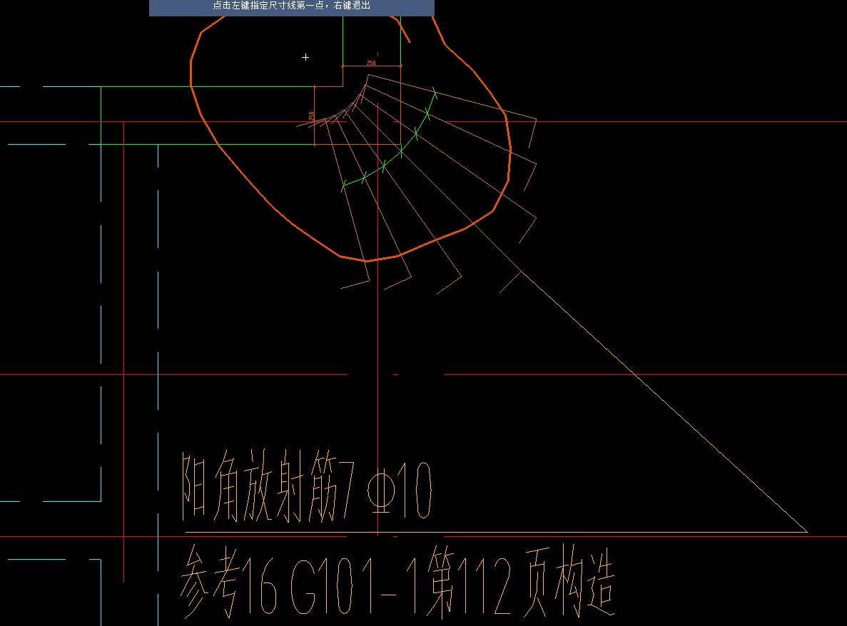 放射筋
