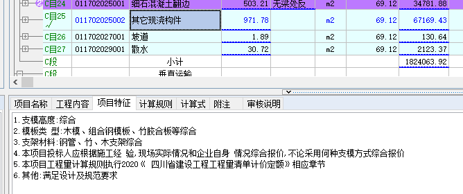 项目特征