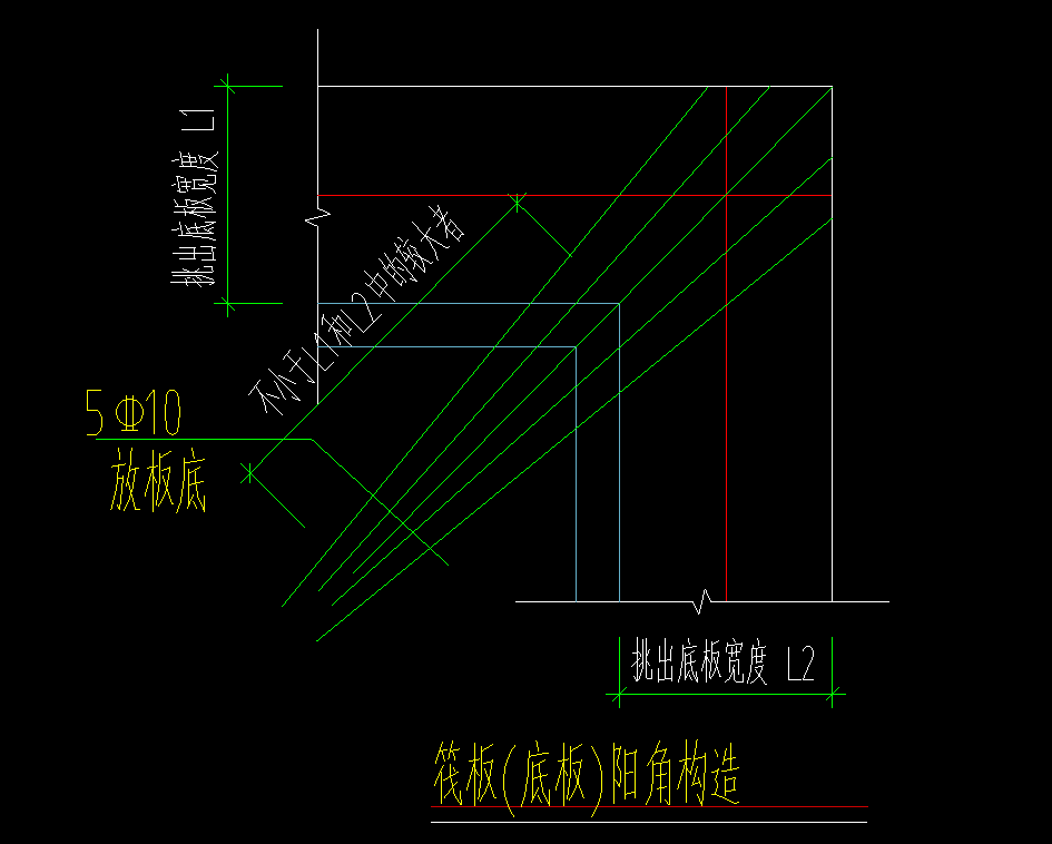 放射筋