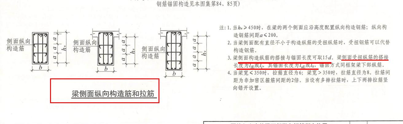 构造筋