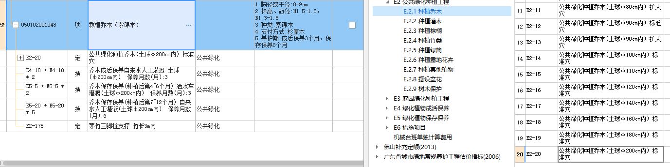 乔木