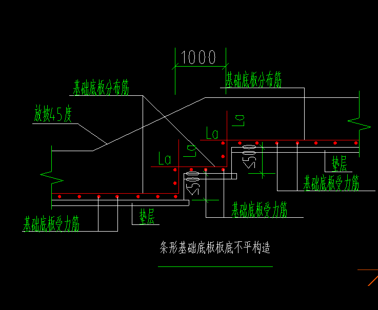 条基