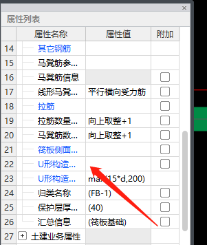筏板侧面纵筋