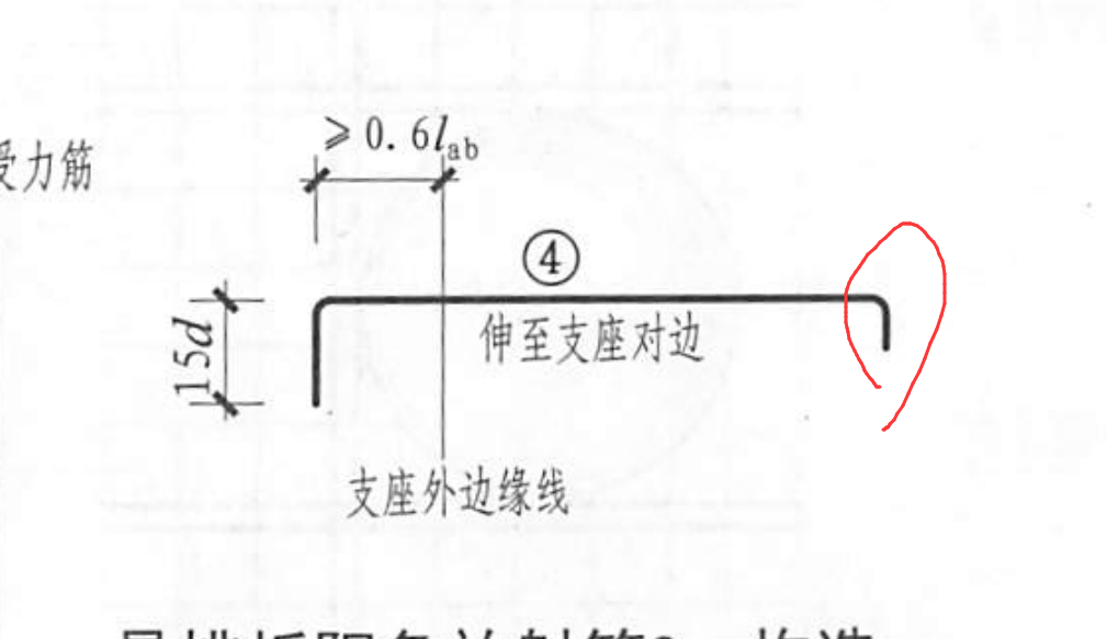 放射筋