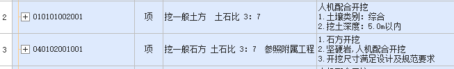 项目特征