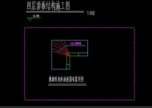 放射筋