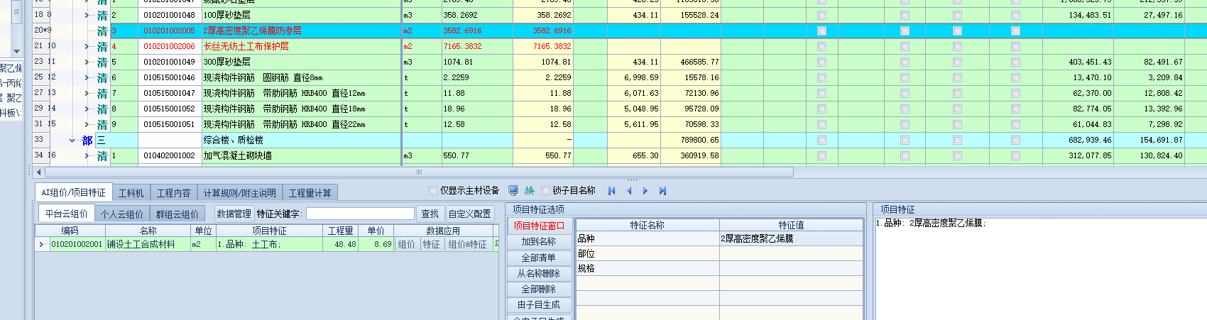 项目特征