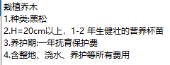 定额