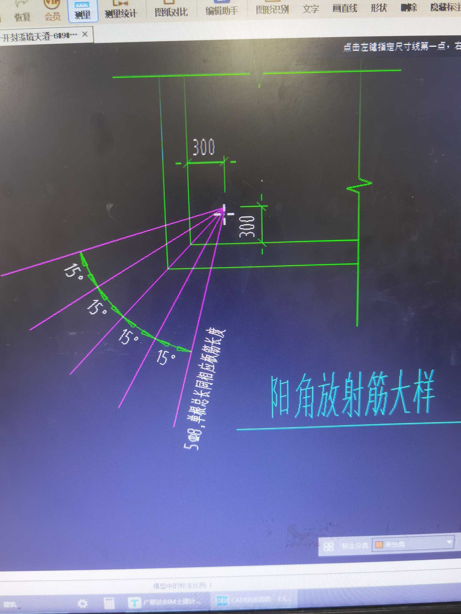 放射筋