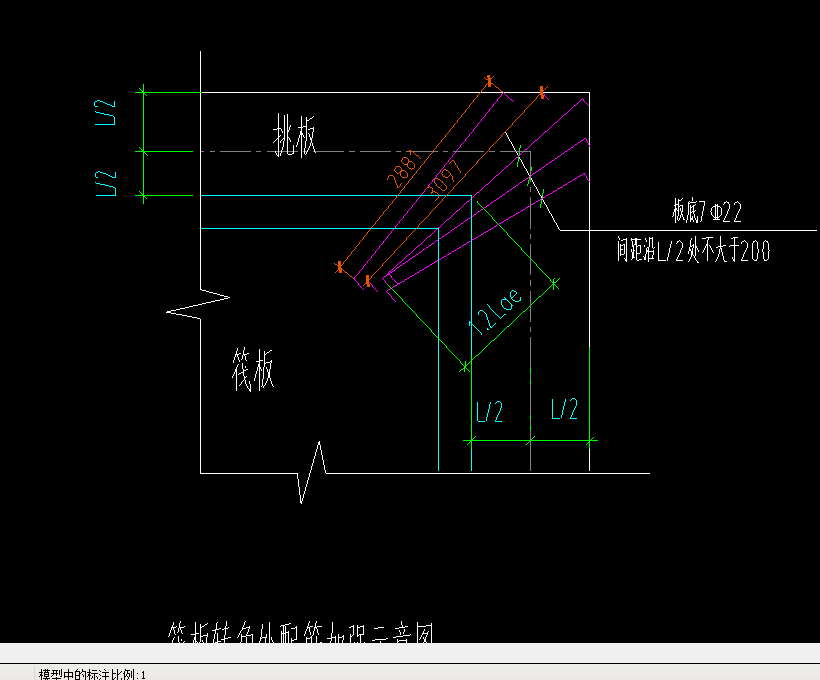 角筋