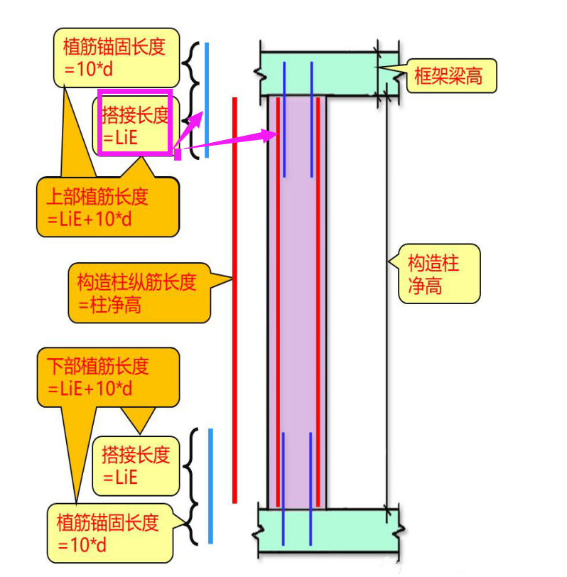 板筋