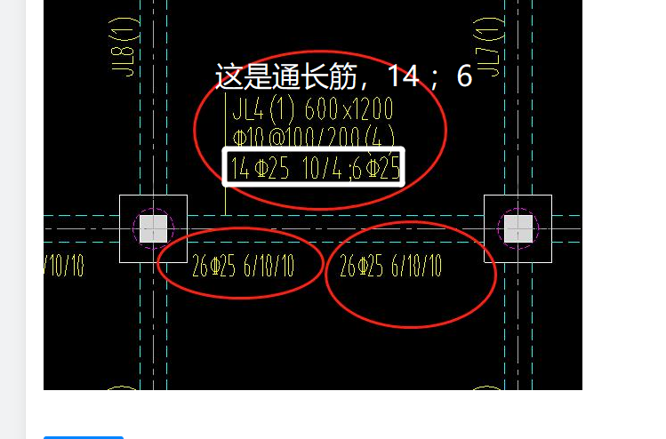 通长筋