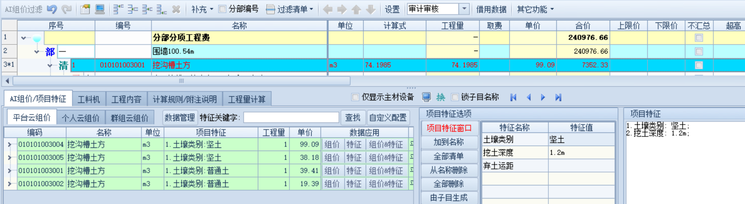 项目特征