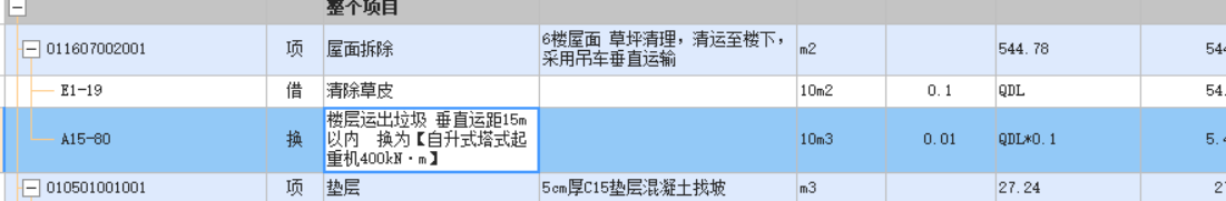 项目特征