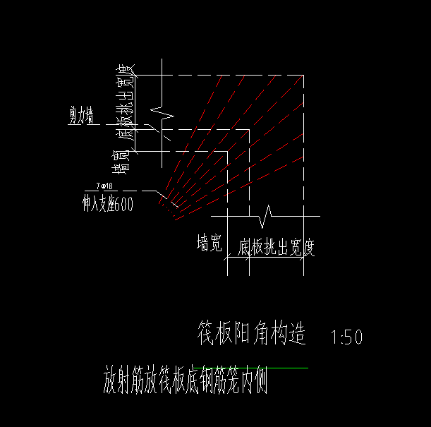 放射筋