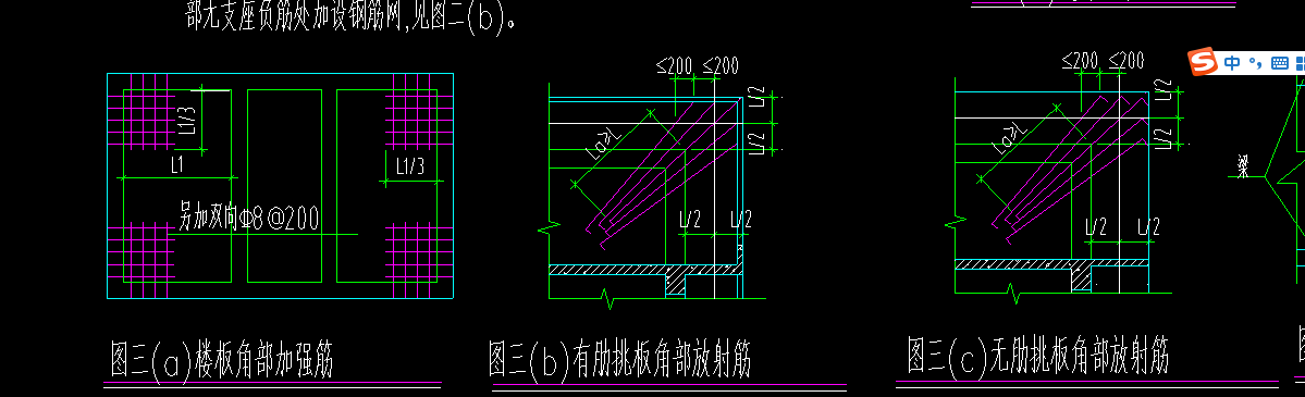 放射筋