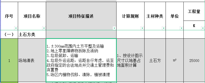 项目特征