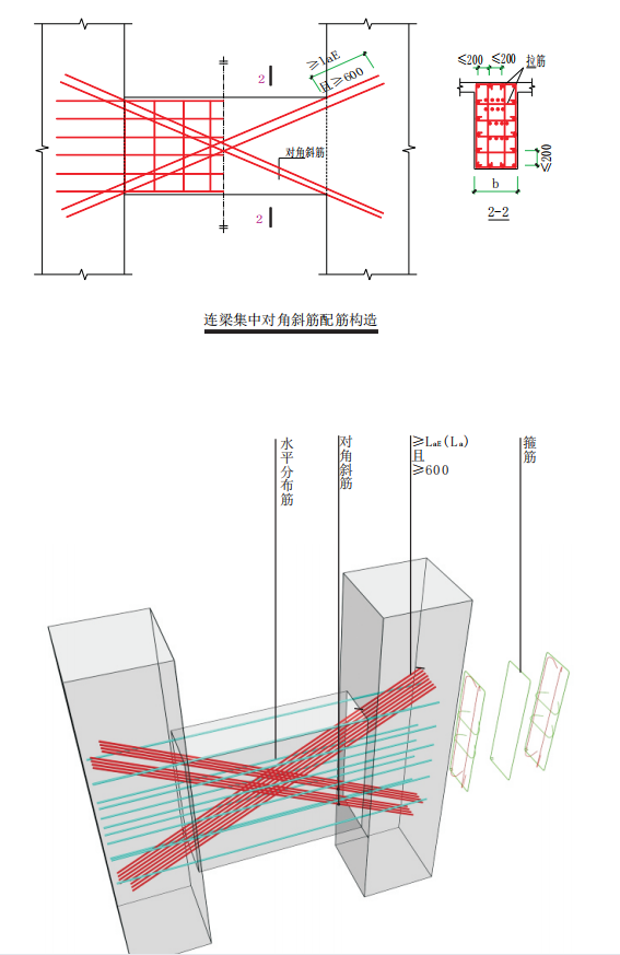 斜筋