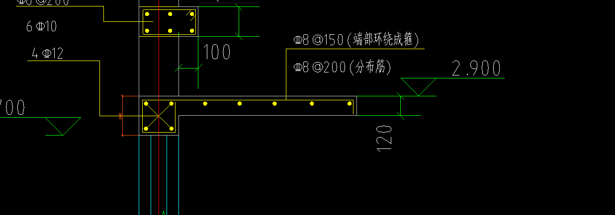 分布筋