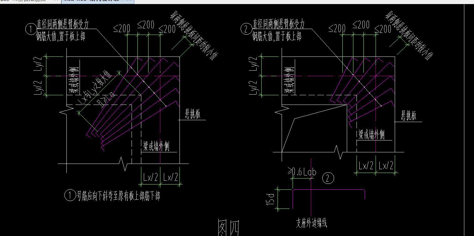 根数