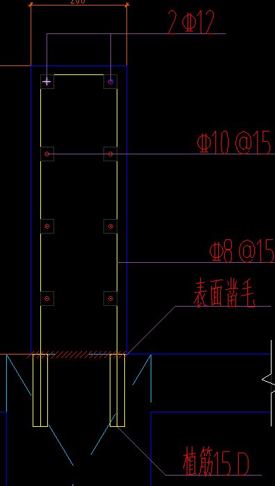 条基