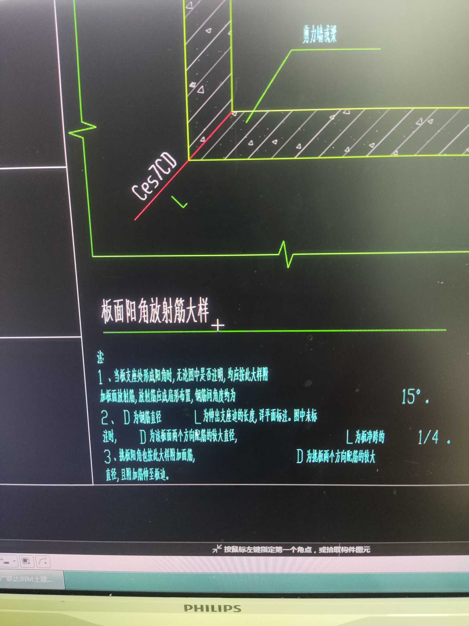 放射筋