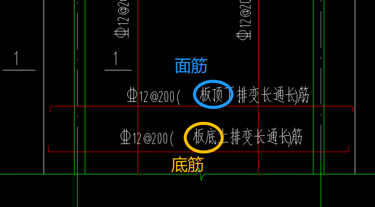 通长筋