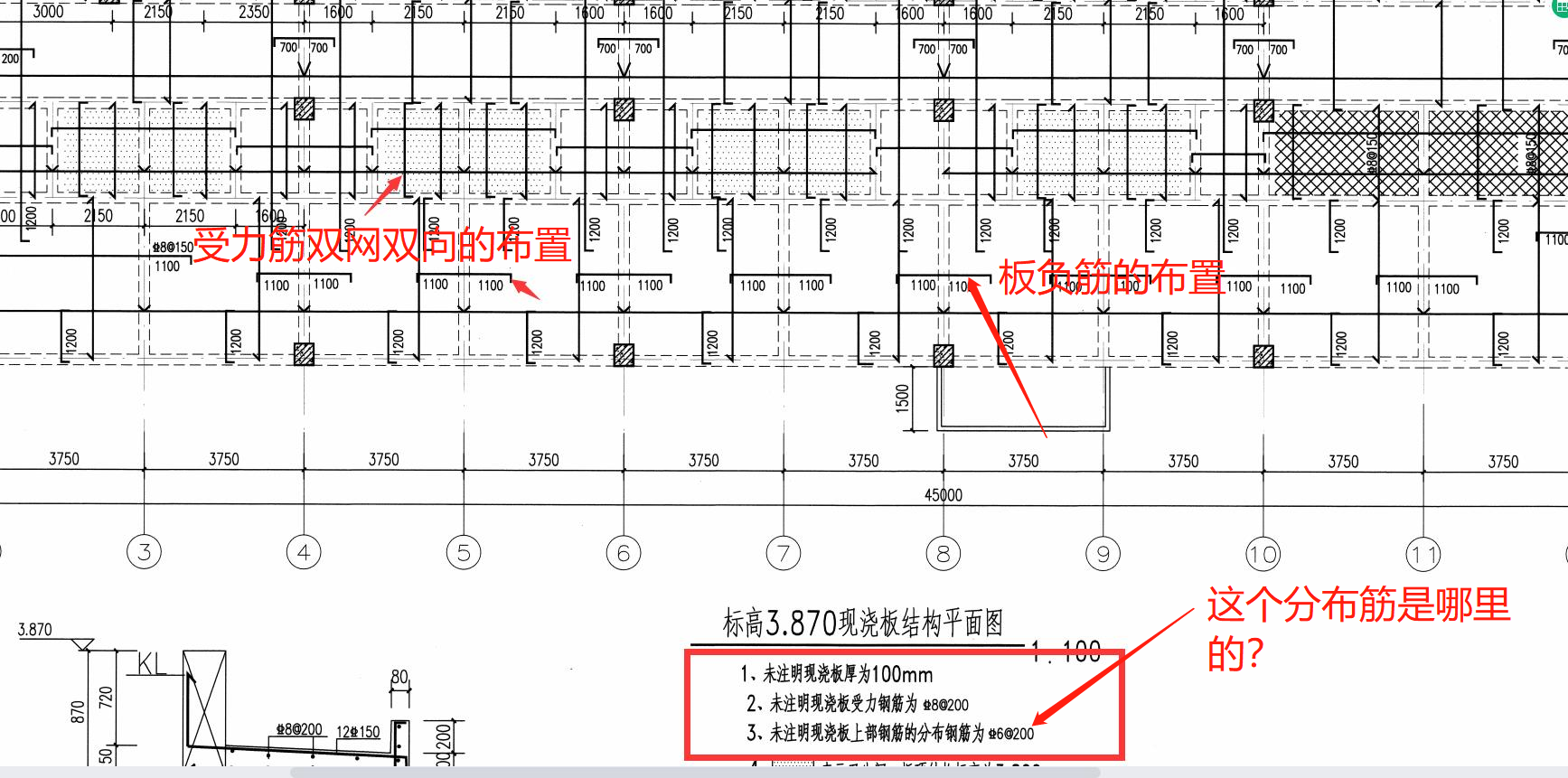 分布筋